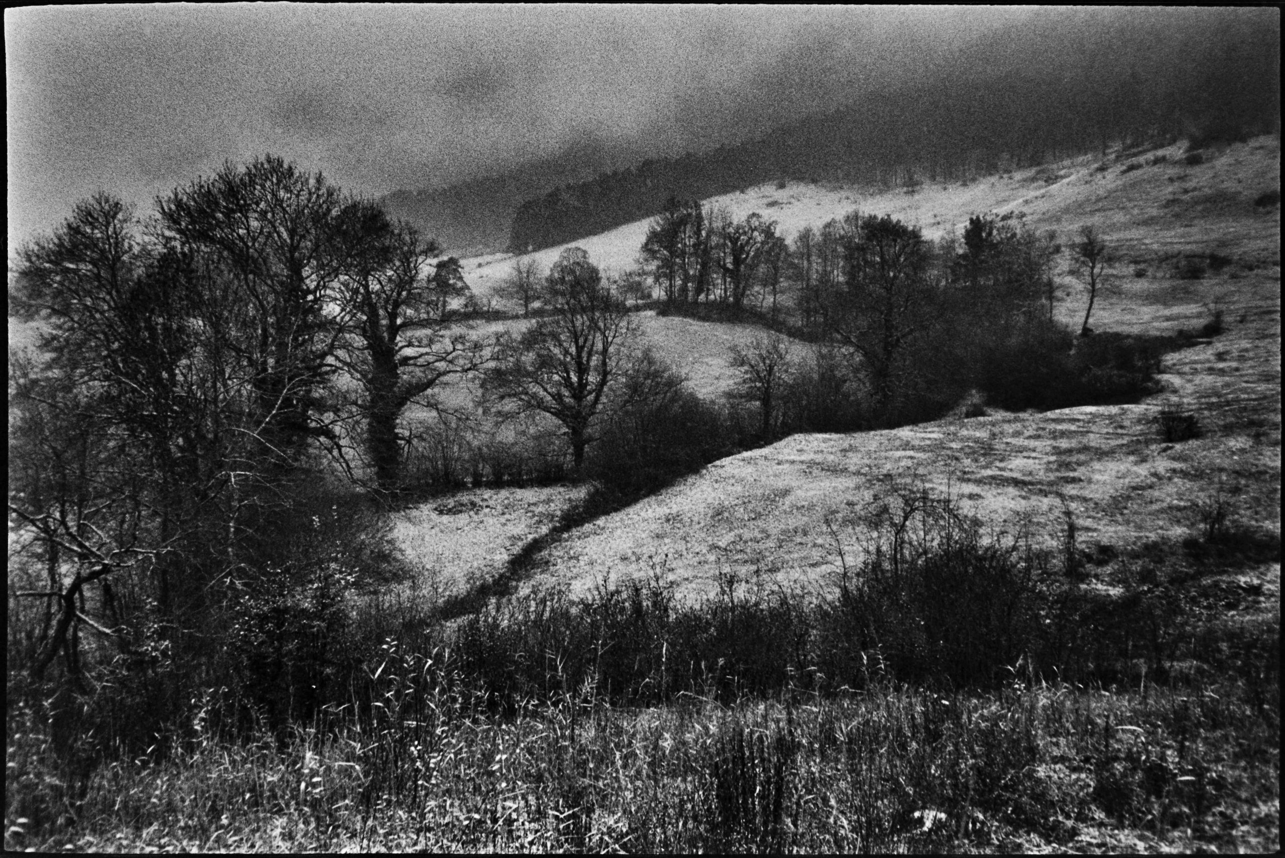 Réserve Rière le Sceut, Crémines. AP 2018