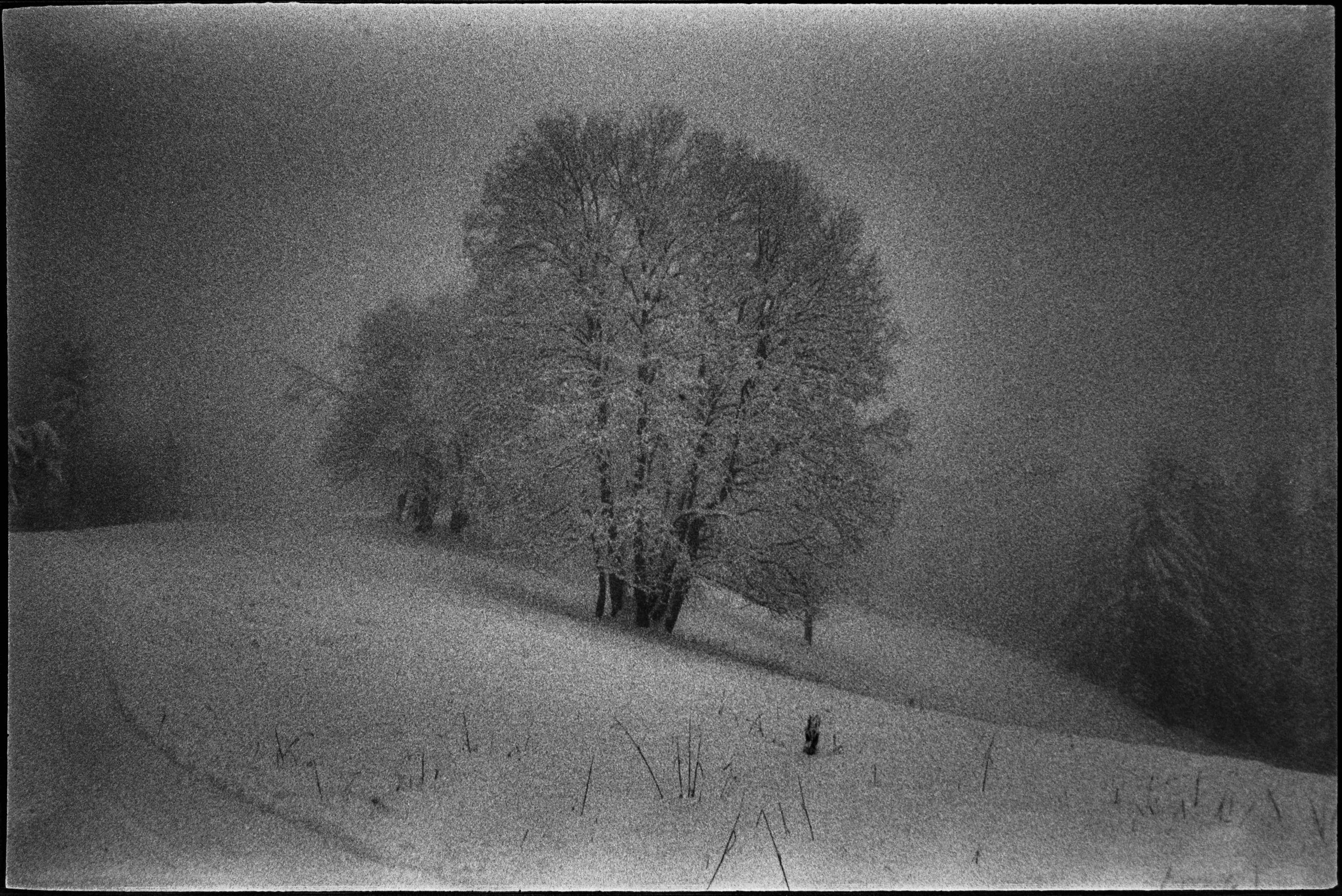 Les Pléiades, Blonay. AP 2018