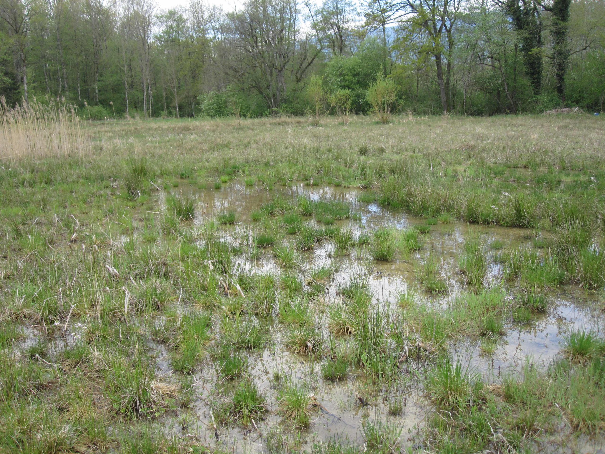 Réserve de Monods. AP 2015