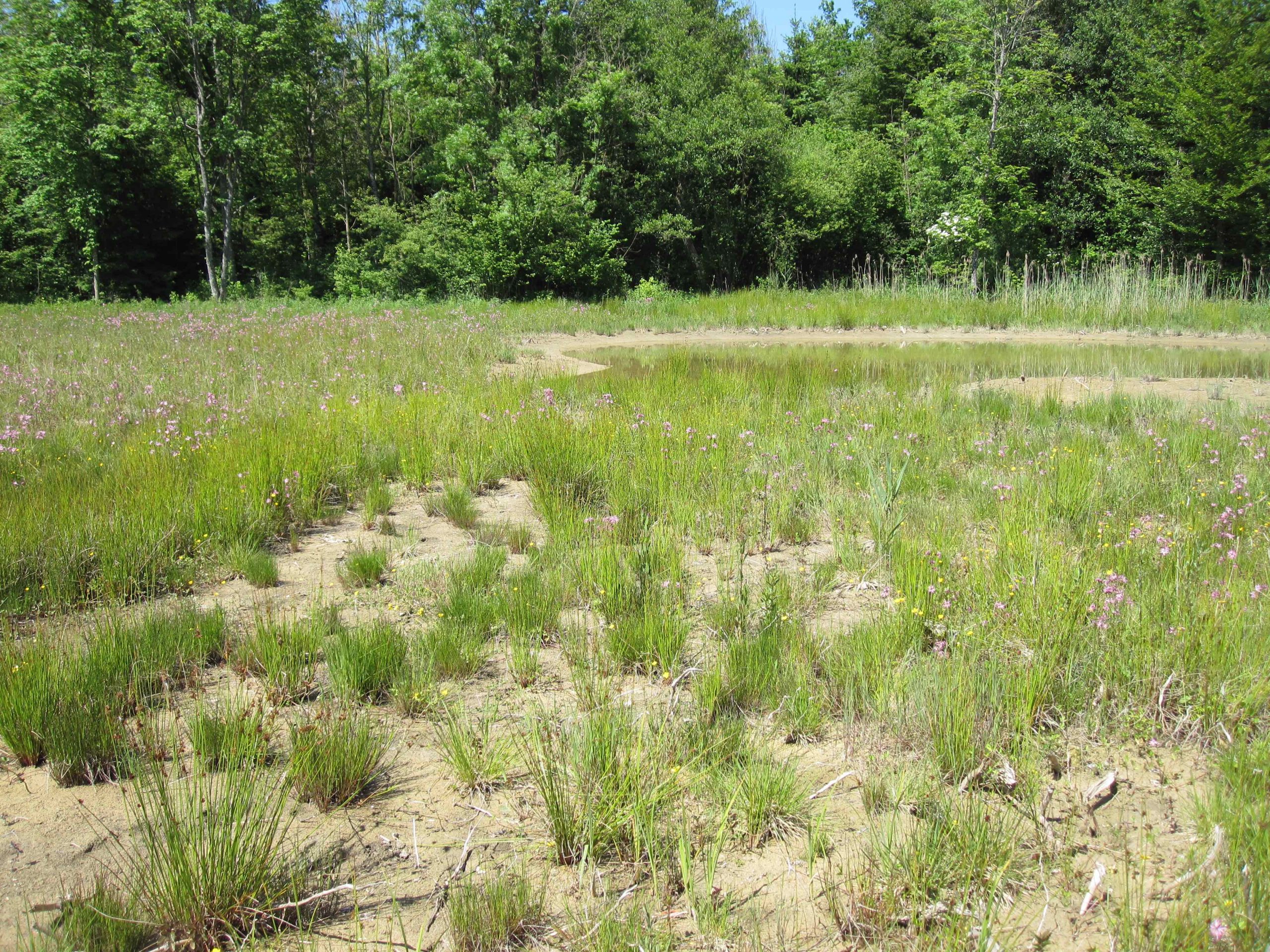 Réserve de Monods. AP 2015