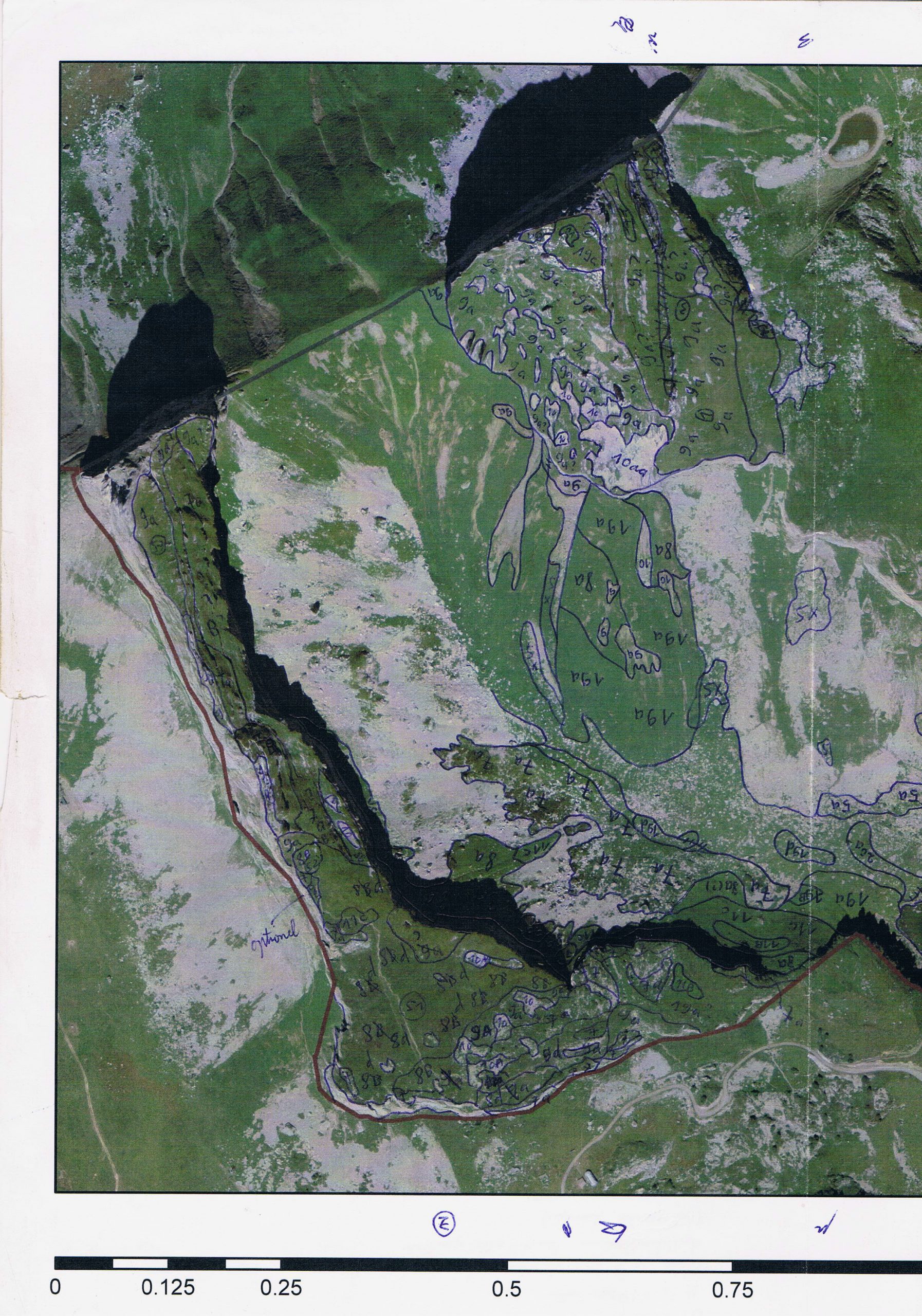 Document de terrain pour cartographie de végétation, réserve de la Tour d’Aï. AP 2015