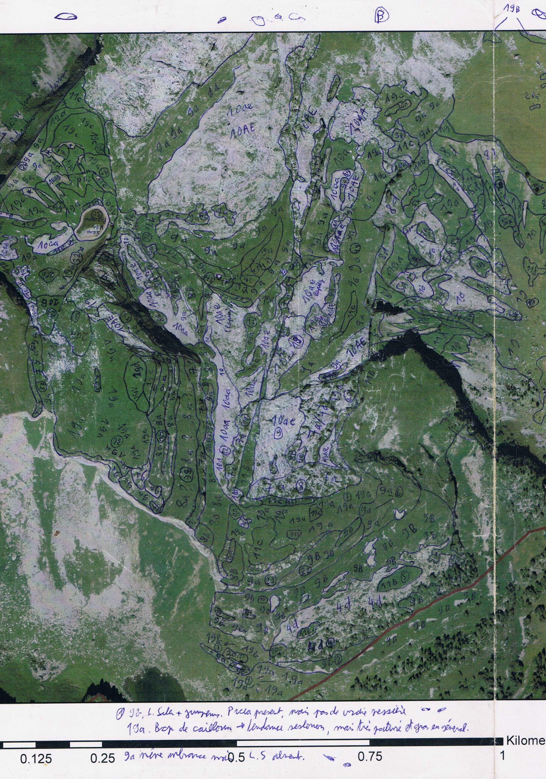 Document de terrain pour cartographie de végétation, réserve de la Tour d’Aï. AP 2015