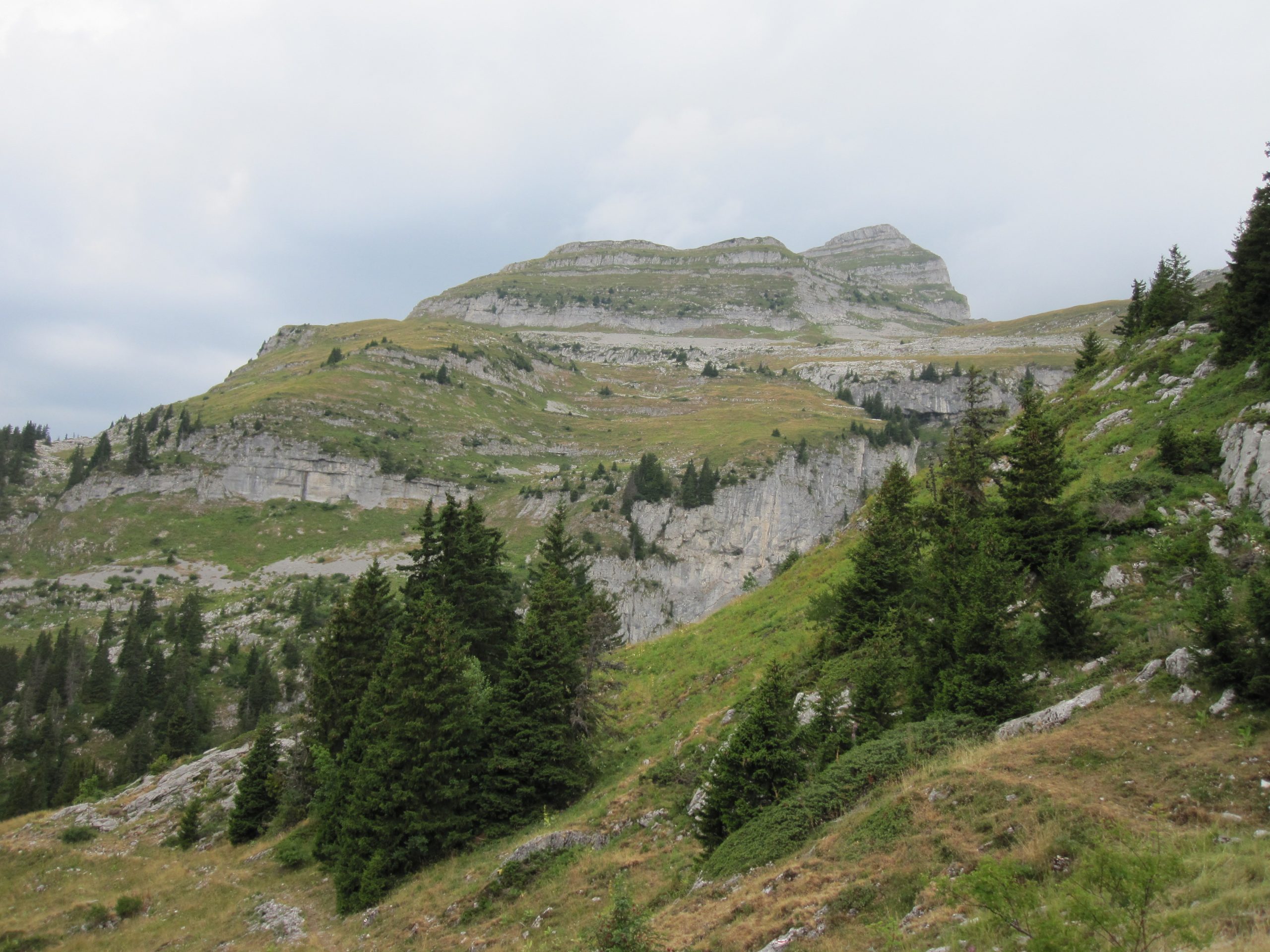 Réserve de la Tour d’Aï. AP 2015