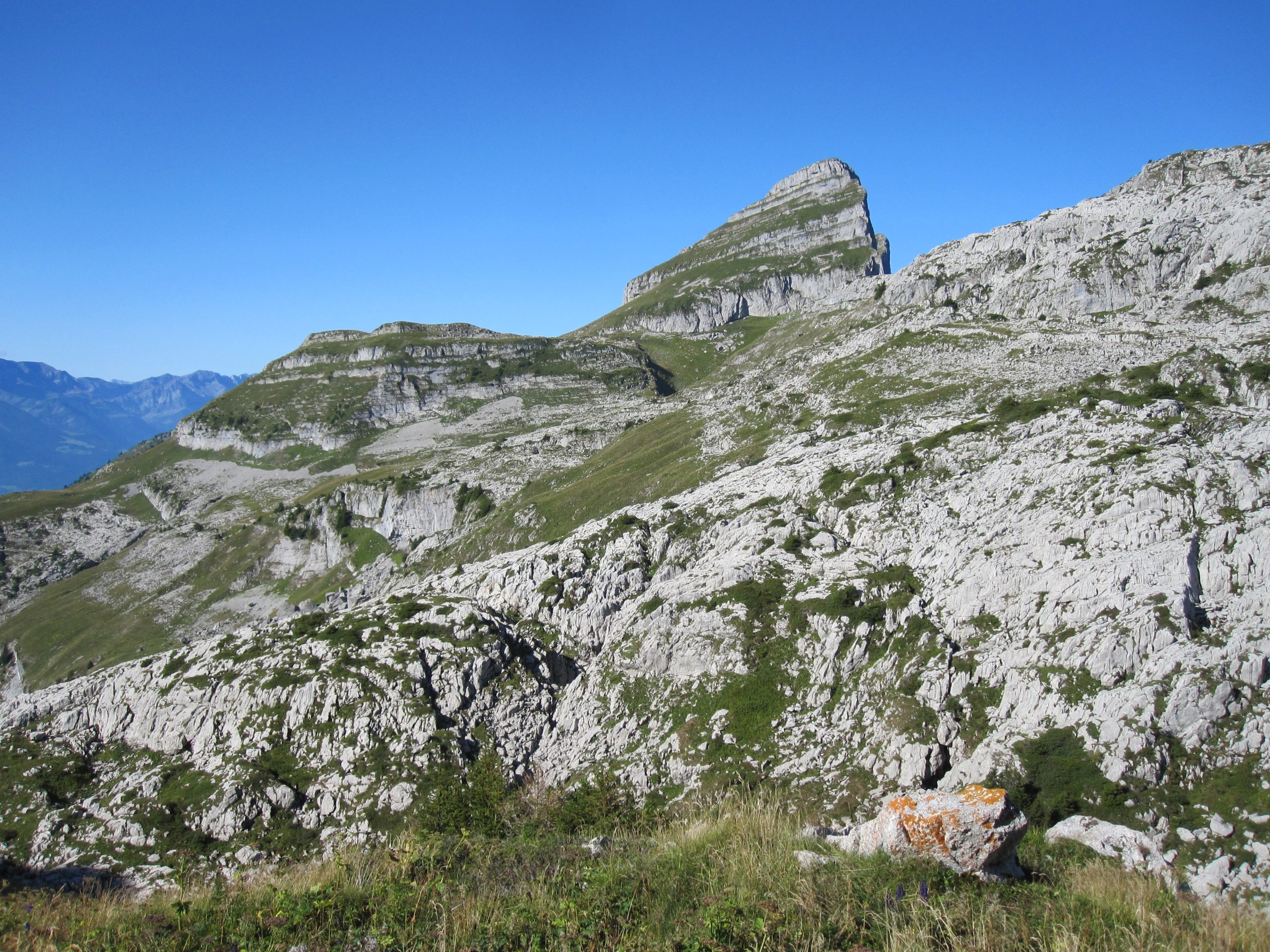 Réserve de la Tour d’Aï. AP 2015
