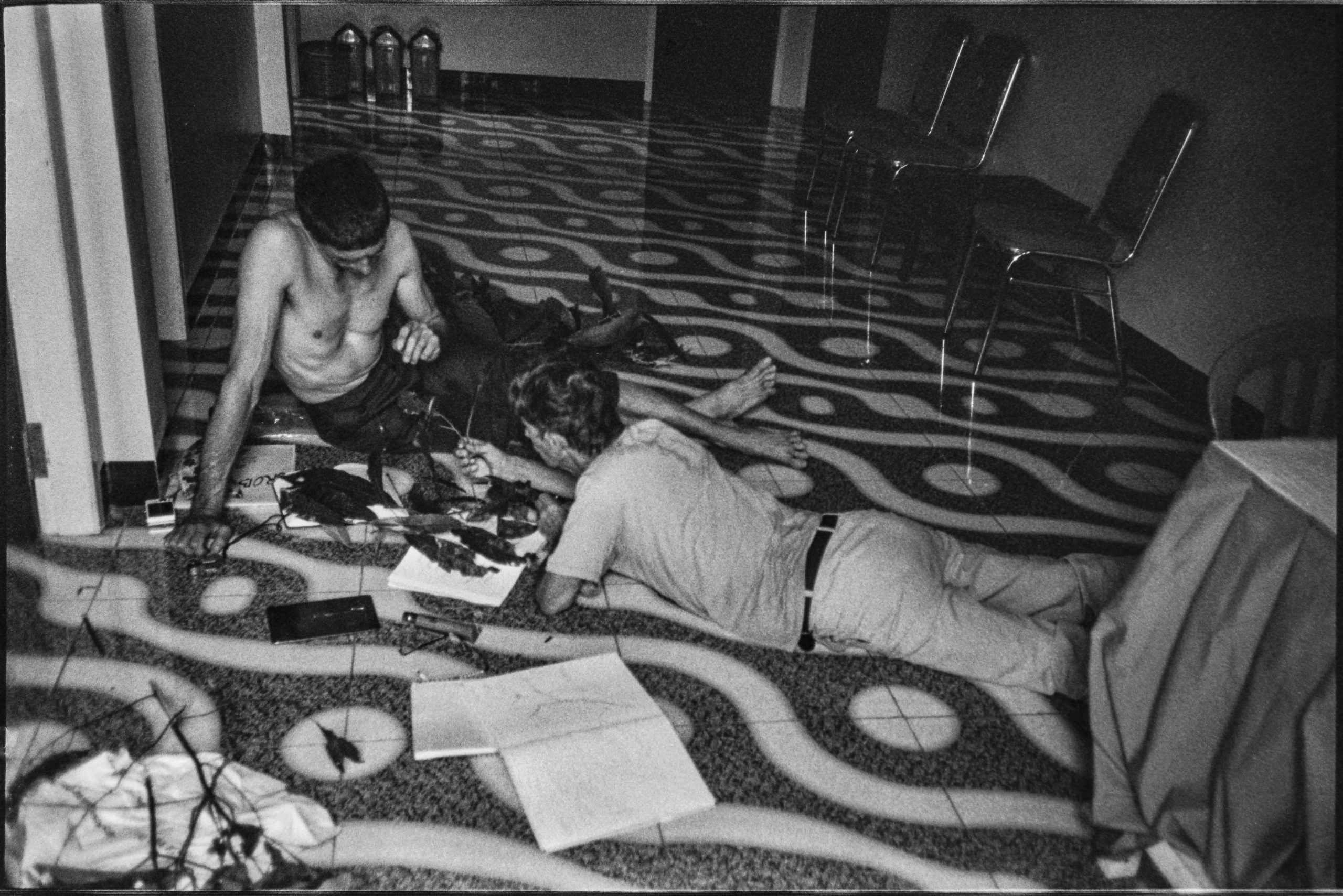 Les botanistes au travail, Wahai Indonésie. AP 2019