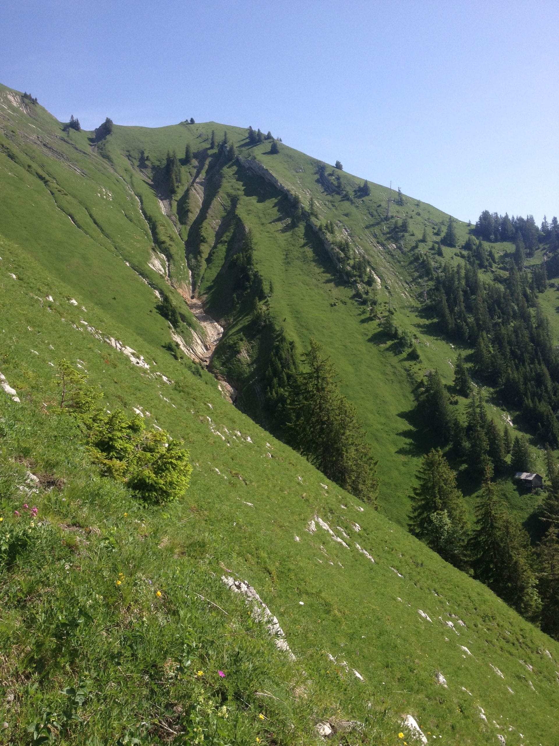 La Vausseresse, Château-d'Oex. AP 2019