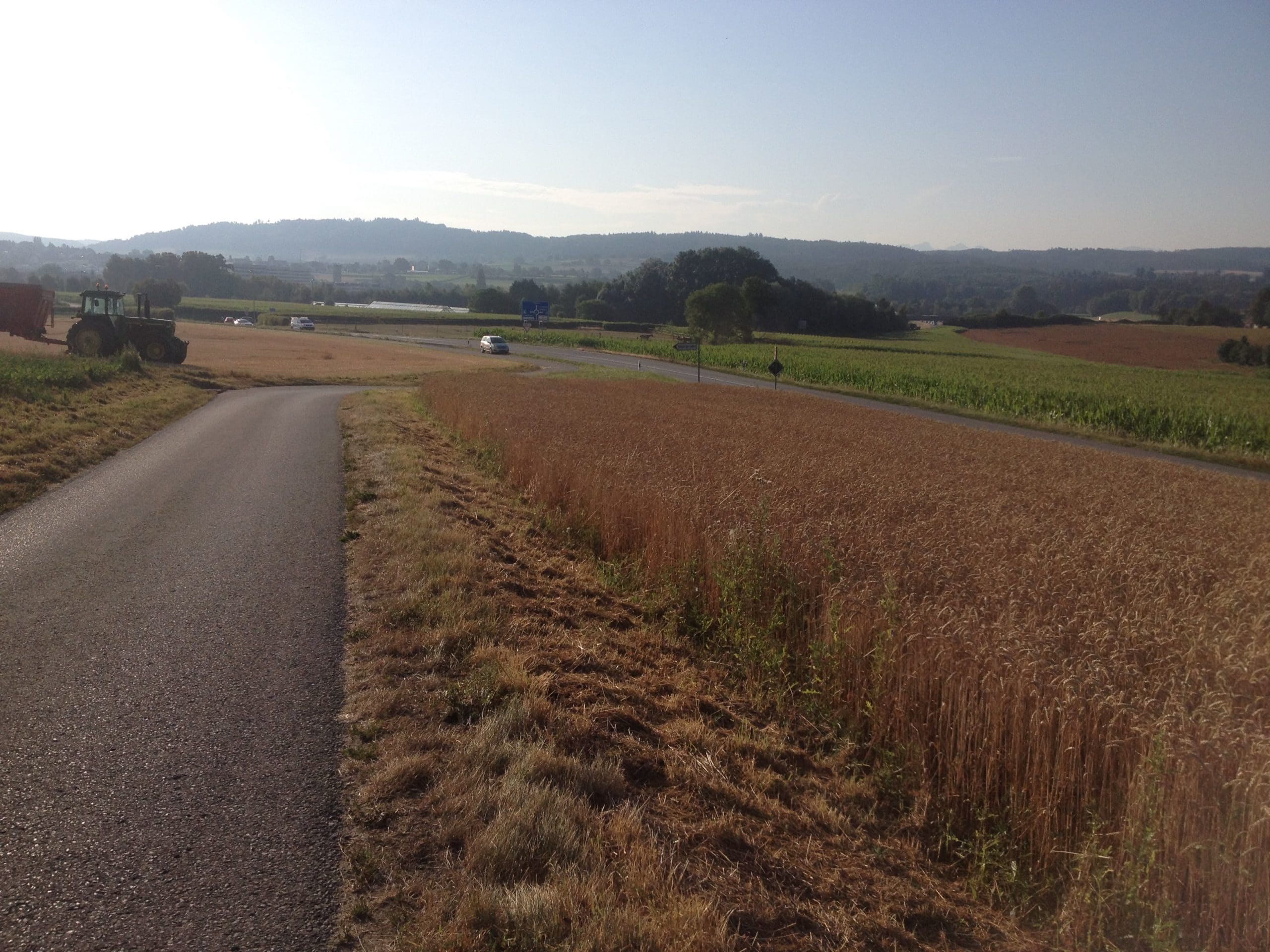 Site à prospecter pour Leonurus cardiaca. AP 2019