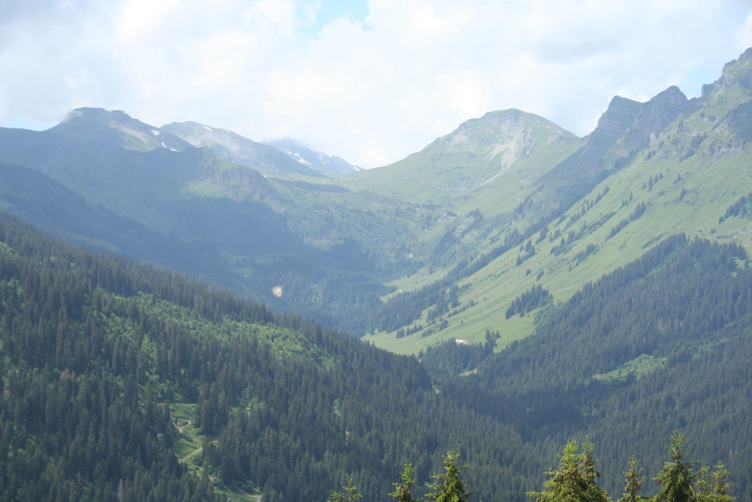 Fond du Val de Morgins. AP 2020