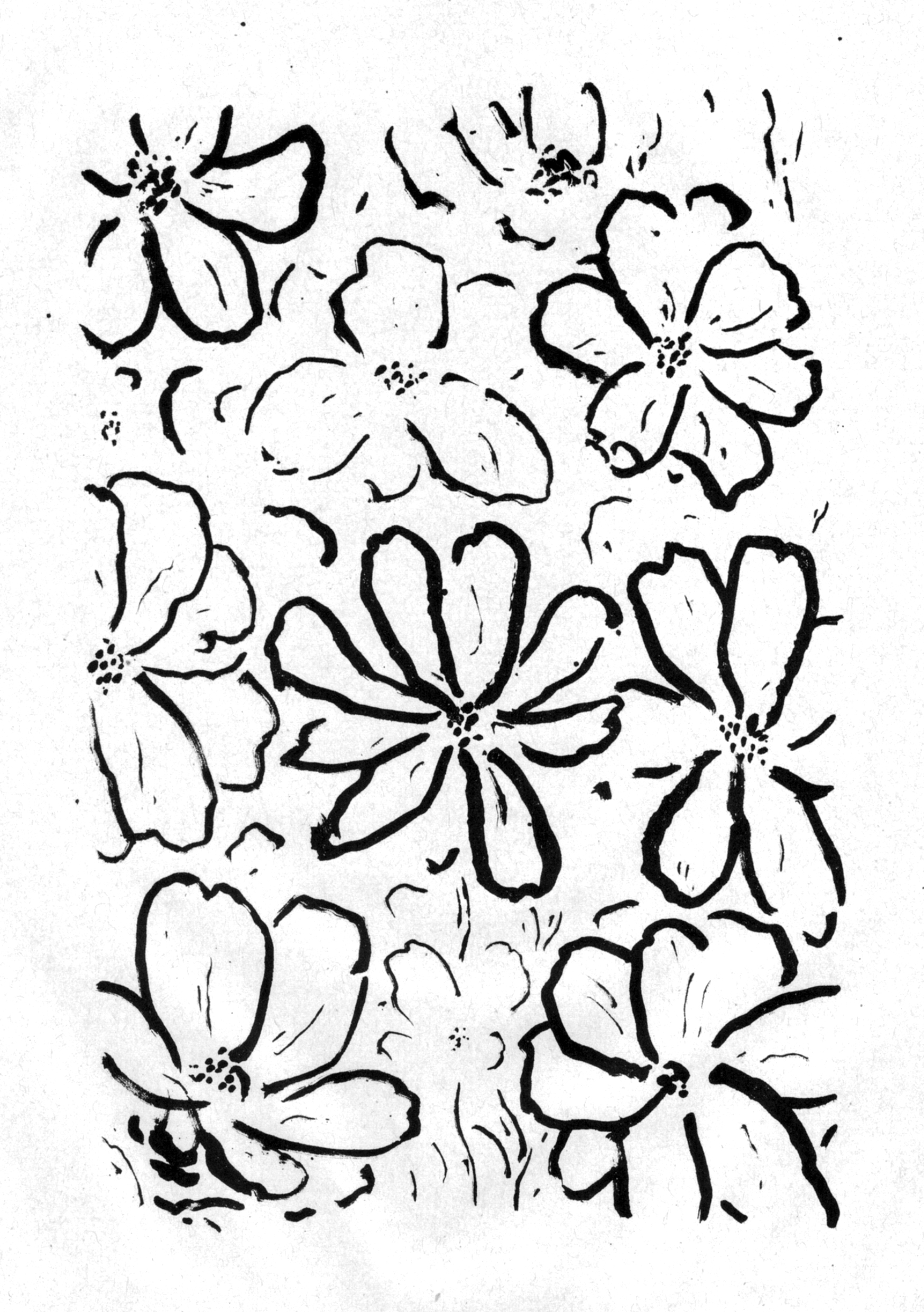 Cosmos, lithographie. AP 2023