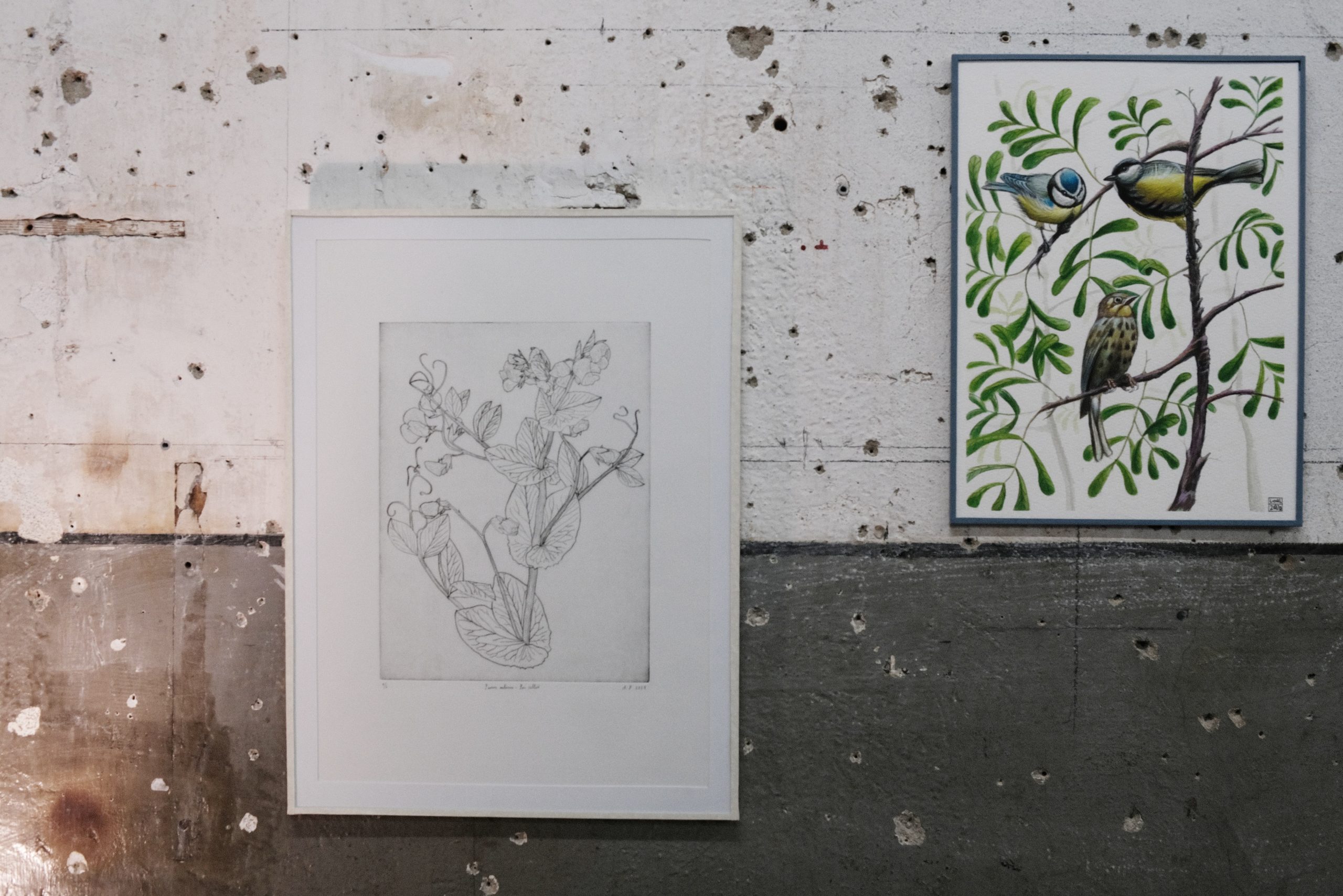 Photo: Joachim Kaufmann