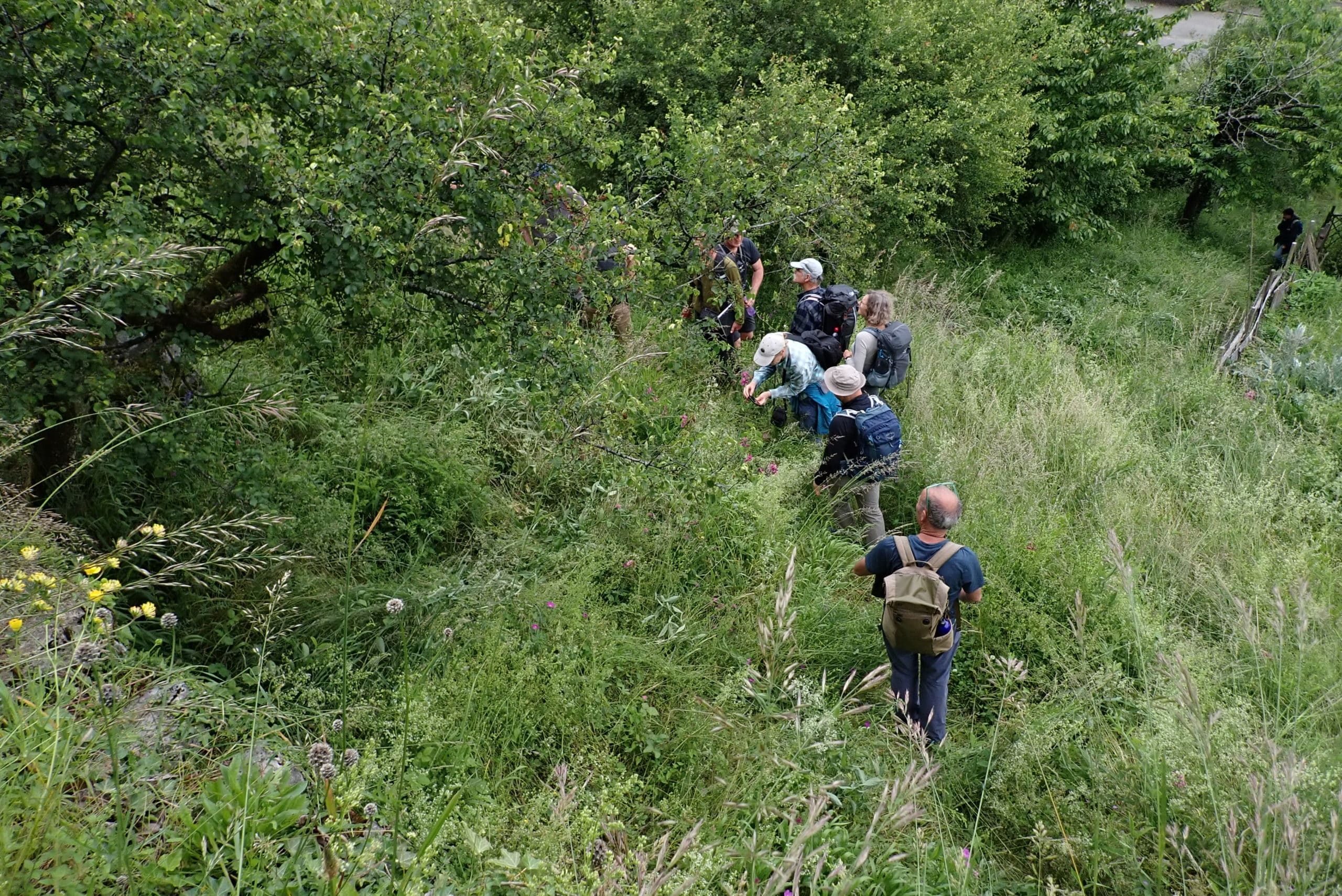 Photo: François Clot